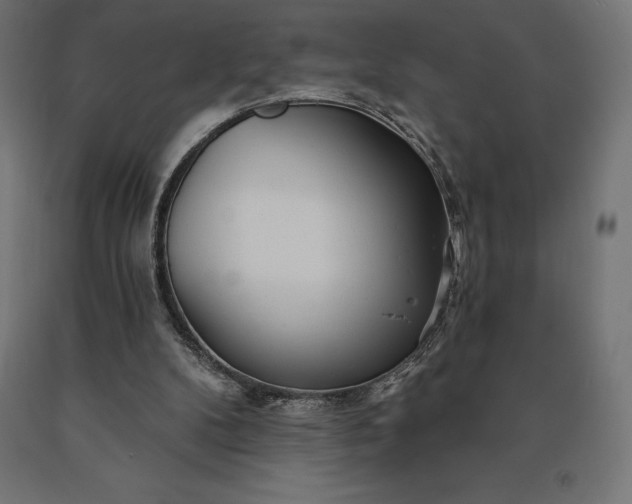 X0000090610104200707311230