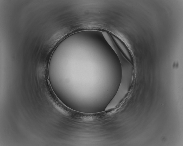 X0000090610105200707311230