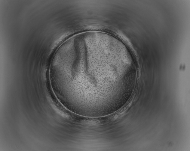 X0000090610106200707311230