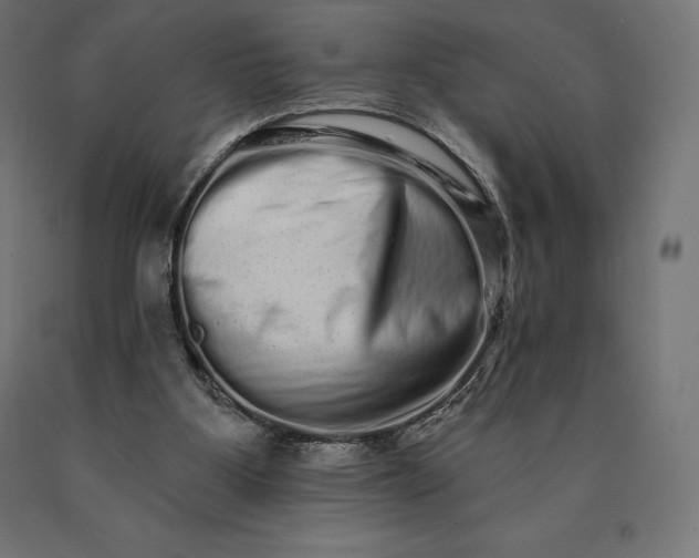 X0000090610107200707311230