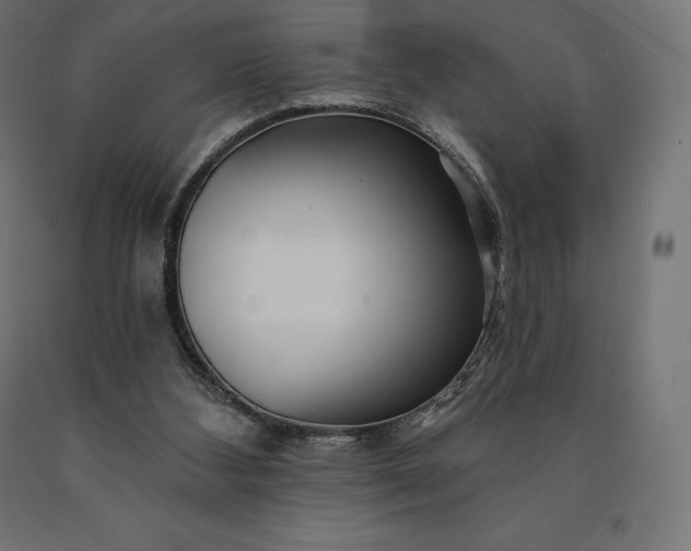 X0000090610108200707311230