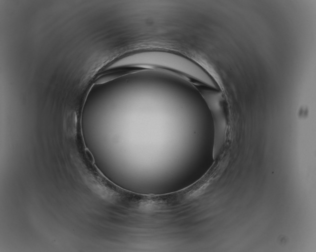 X0000090610109200707311230