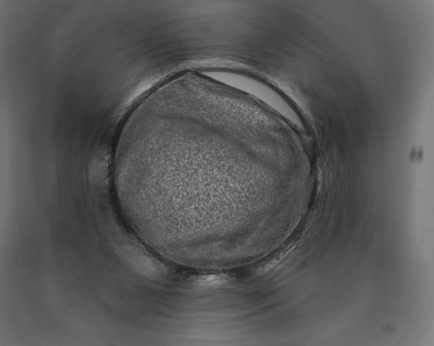 X0000090610111200707311230