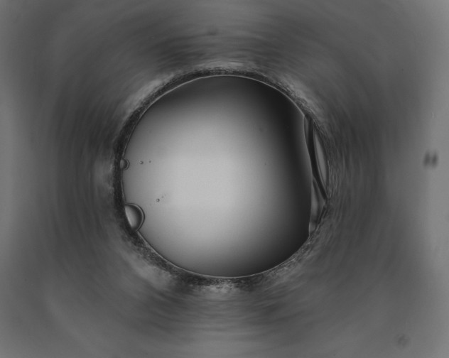 X0000090610112200707311230