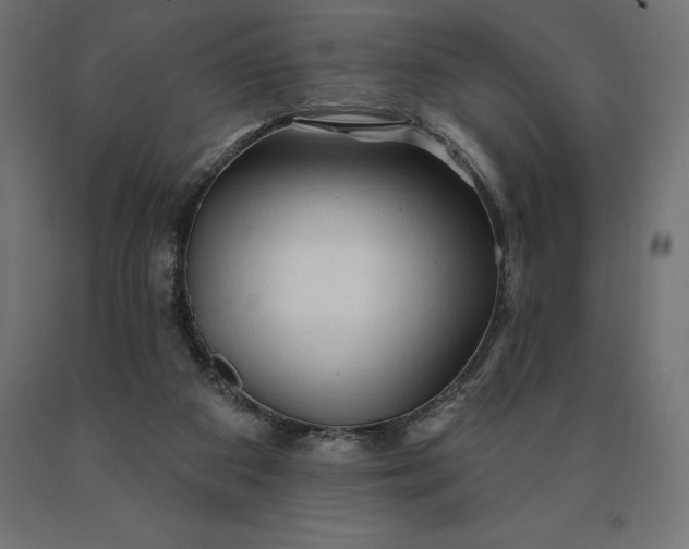 X0000090610113200707311230