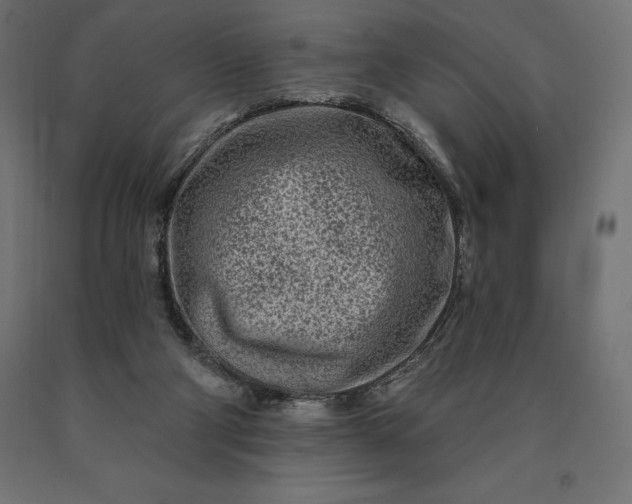 X0000090610114200707311230