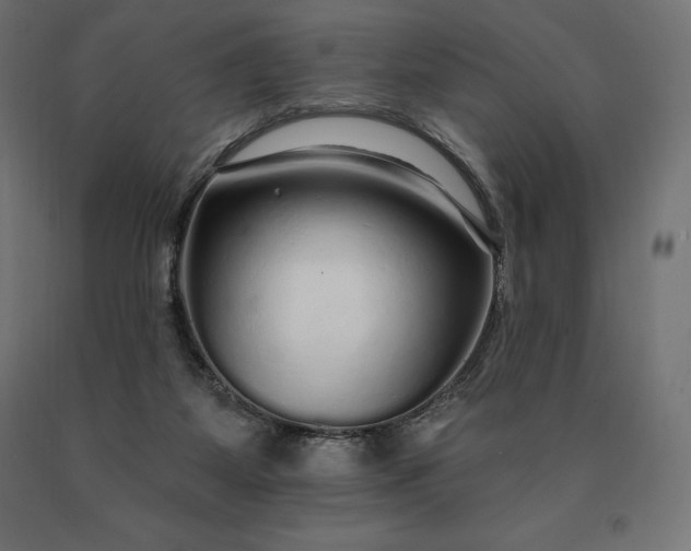 X0000090610115200707311230