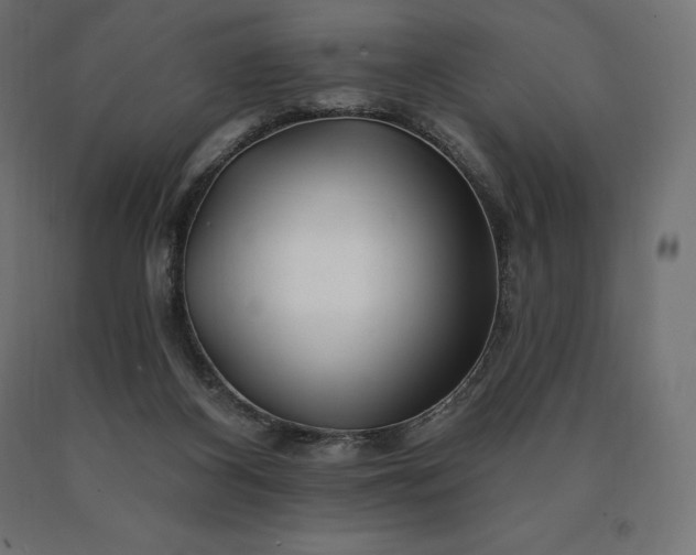 X0000090610116200707311230