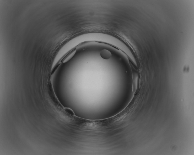 X0000090610117200707311230