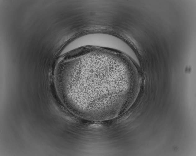 X0000090610119200707311230