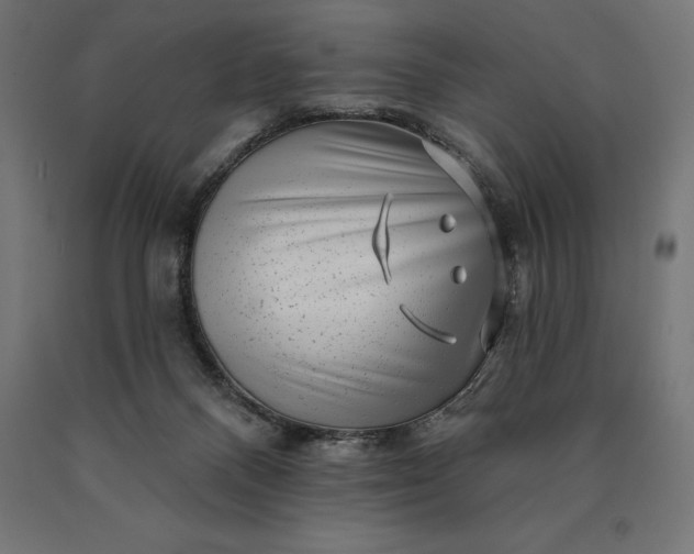 X0000090610120200707311230