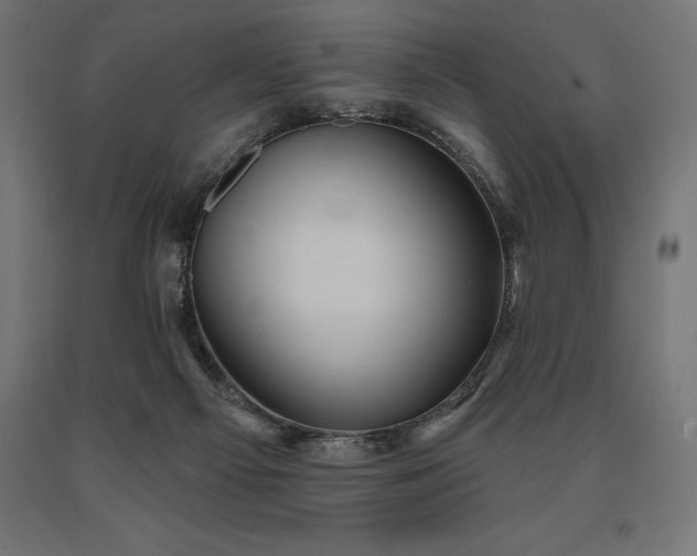 X0000090610121200707311230