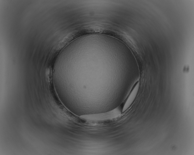 X0000090610122200707311230