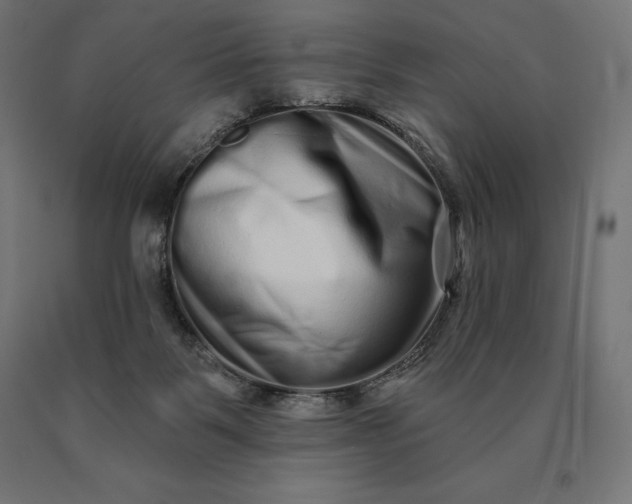 X0000090610123200707311230