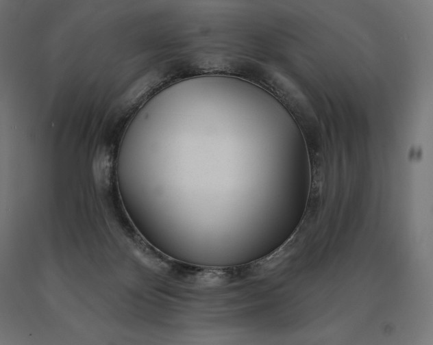 X0000090610124200707311230