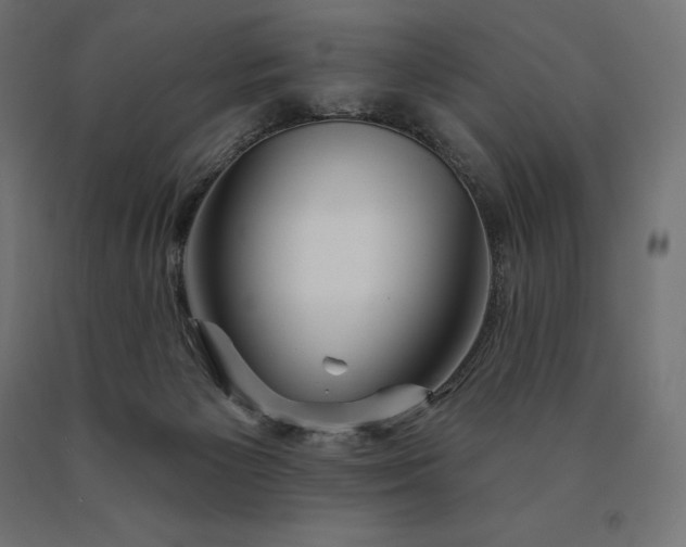 X0000090610125200707311230