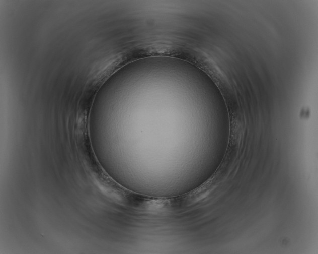 X0000090610126200707311230