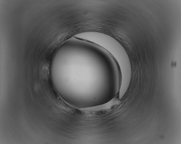 X0000090610127200707311230