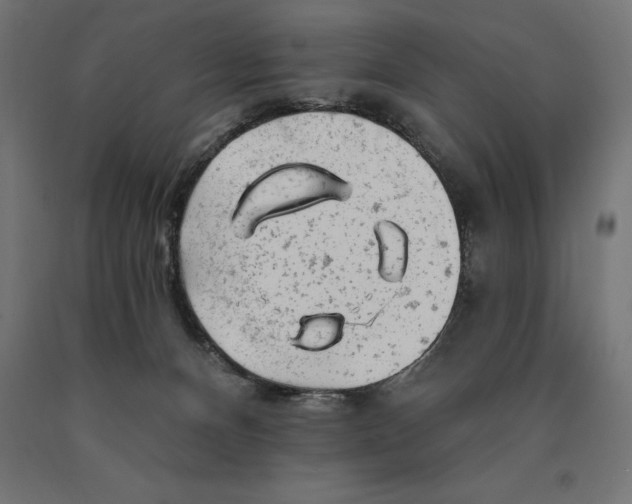 X0000090610128200707311230