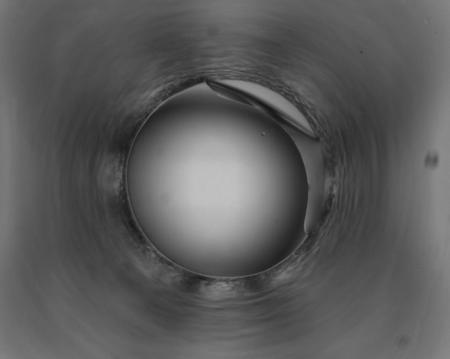 X0000090610129200707311230