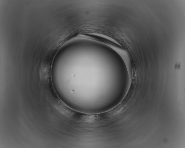 X0000090610131200707311230