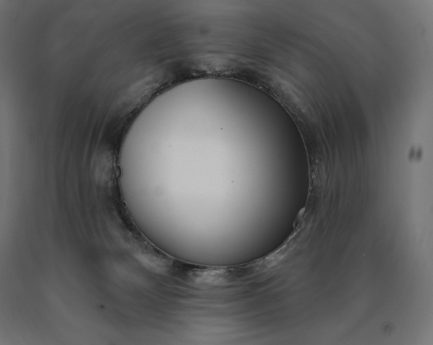 X0000090610132200707311230