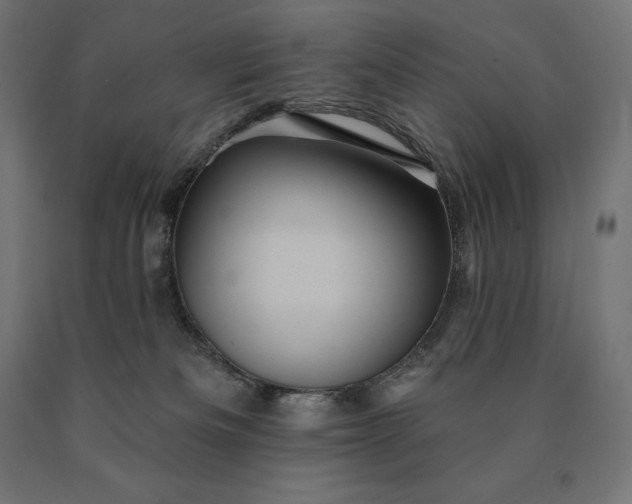 X0000090610133200707311230