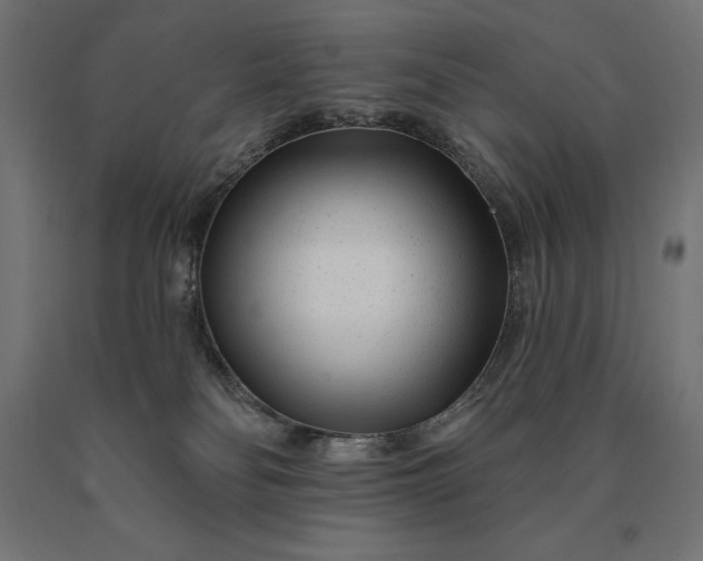 X0000090610134200707311230