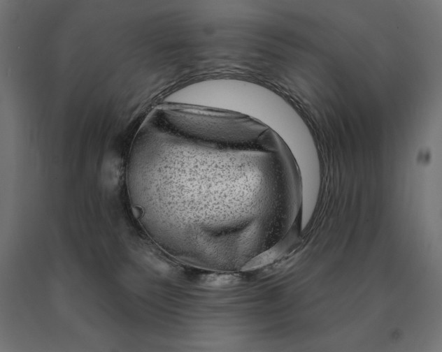 X0000090610135200707311230