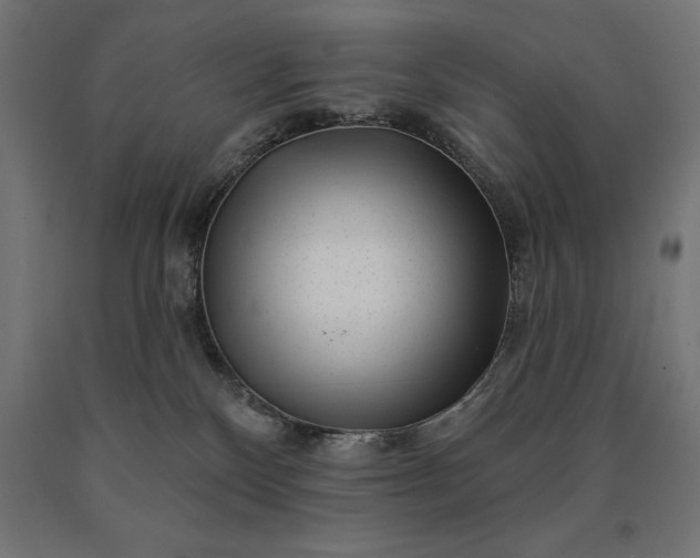 X0000090610136200707311230