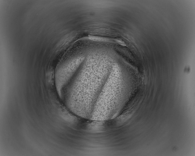 X0000090610138200707311230