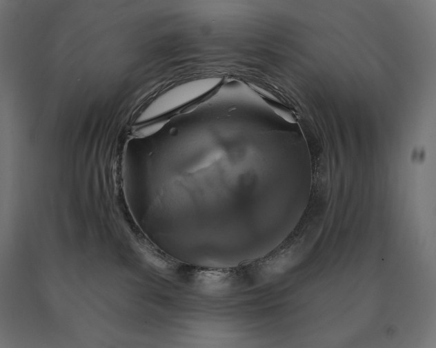 X0000090610139200707311230