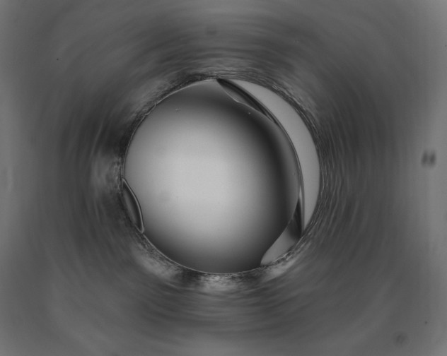 X0000090610141200707311230