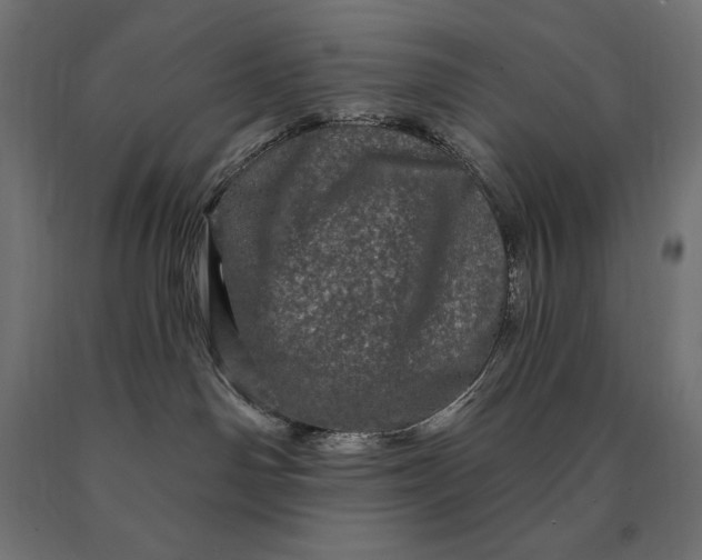 X0000090610142200707311230