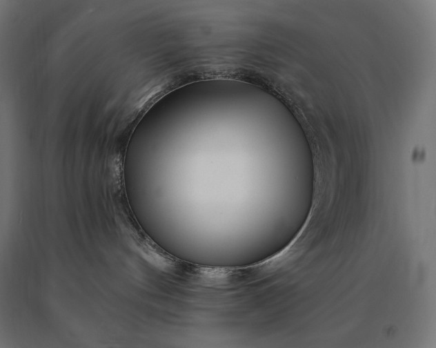 X0000090610144200707311230