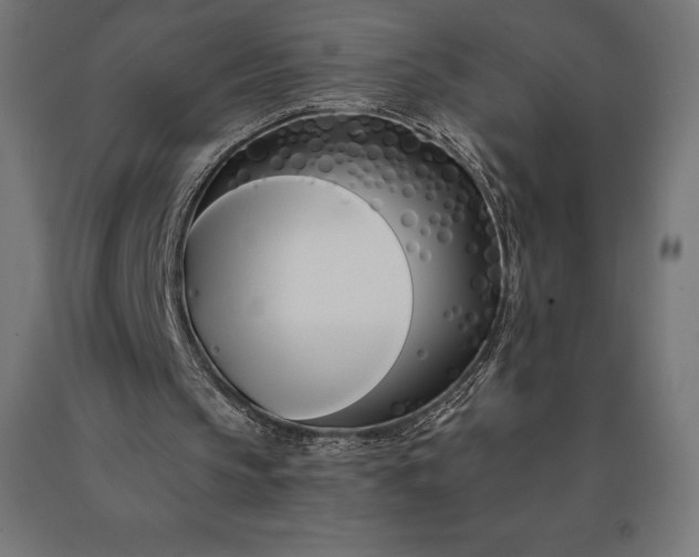 X0000090610145200707311229