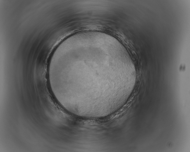 X0000090610146200707311229