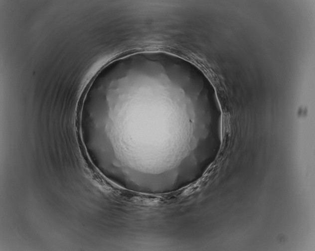 X0000090610147200707311229