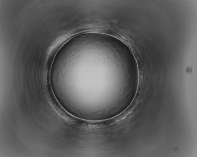 X0000090610149200707311229