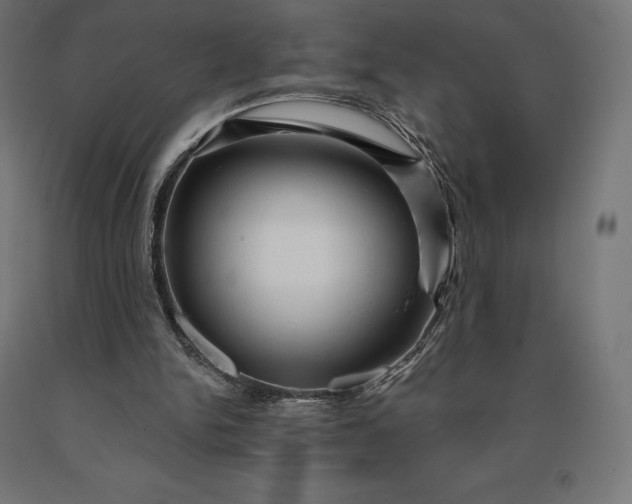 X0000090610150200707311229