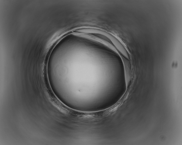 X0000090610151200707311229