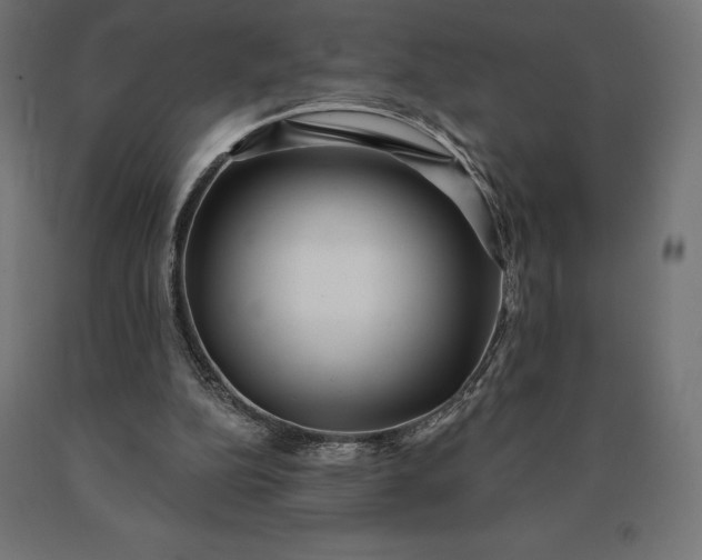 X0000090610152200707311229