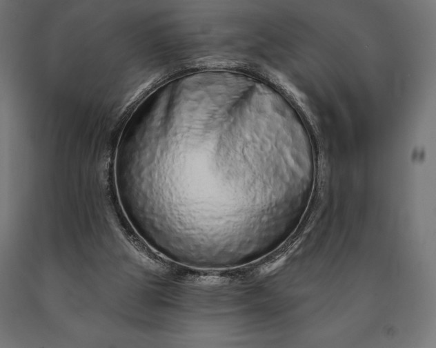 X0000090610153200707311229