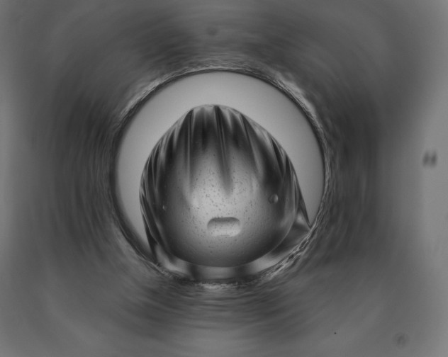 X0000090610154200707311229