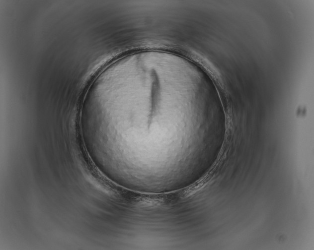 X0000090610155200707311229