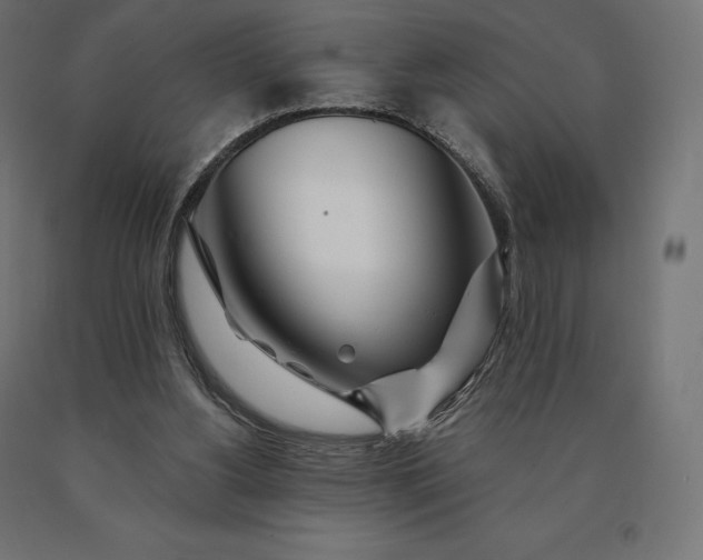 X0000090610156200707311229