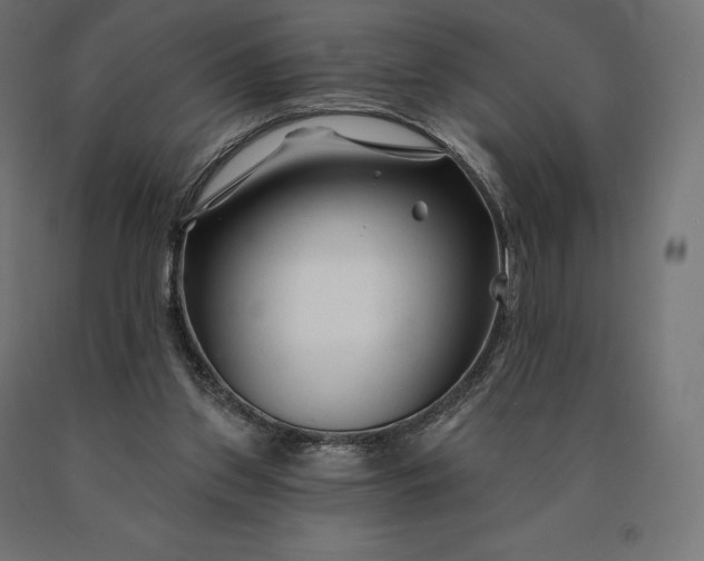 X0000090610157200707311229