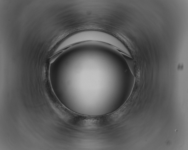 X0000090610158200707311229