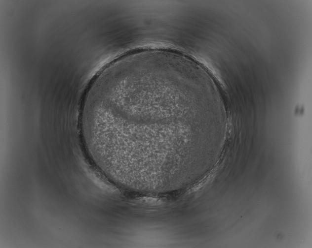 X0000090610159200707311230