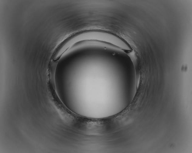 X0000090610160200707311230